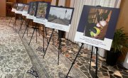 Награђене најбоље фотографије са такмичења  Безбедност и здравље на раду свуда око нас за време COVID-19 