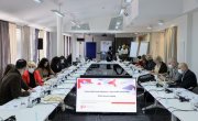 Потенцијал и изазови учешћа дијаспоре у економском развоју Републике Србије