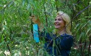 Кисић:  Природна богатства Србије треба сви заједно да чувамо