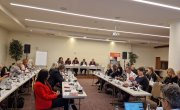 Видојевић на округлом столу "Промовисање националне синергије у решавању насиља над женама"