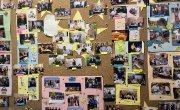 Министар Селаковић започео промоцију социјално предузетништва у Србији
