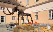 Дани лудаје у Кикинди – инклузија глувих и наглувих у културне сфере друштвеног живота