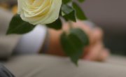 Министар Старовић на обележавању Дана сећања на страдање Срба, Рома и Јевреја