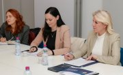 Барошевић представила нову Стратегију унапређења положаја особа са инвалидитетом