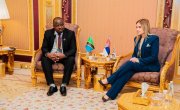 Ђурђевић Стаменковски: Партнерство са Африком и Азијом развојна шанса Србије