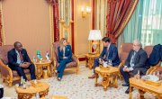 Ђурђевић Стаменковски: Партнерство са Африком и Азијом развојна шанса Србије