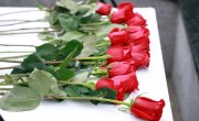 Ђурђевић Стаменковски: Злочини у Сијековцу, увод у страдање српског народа у БиХ