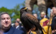 Ђурђевић Стаменковски: Срби су стари европски народ - Немањићи су поставили темеље наше нације