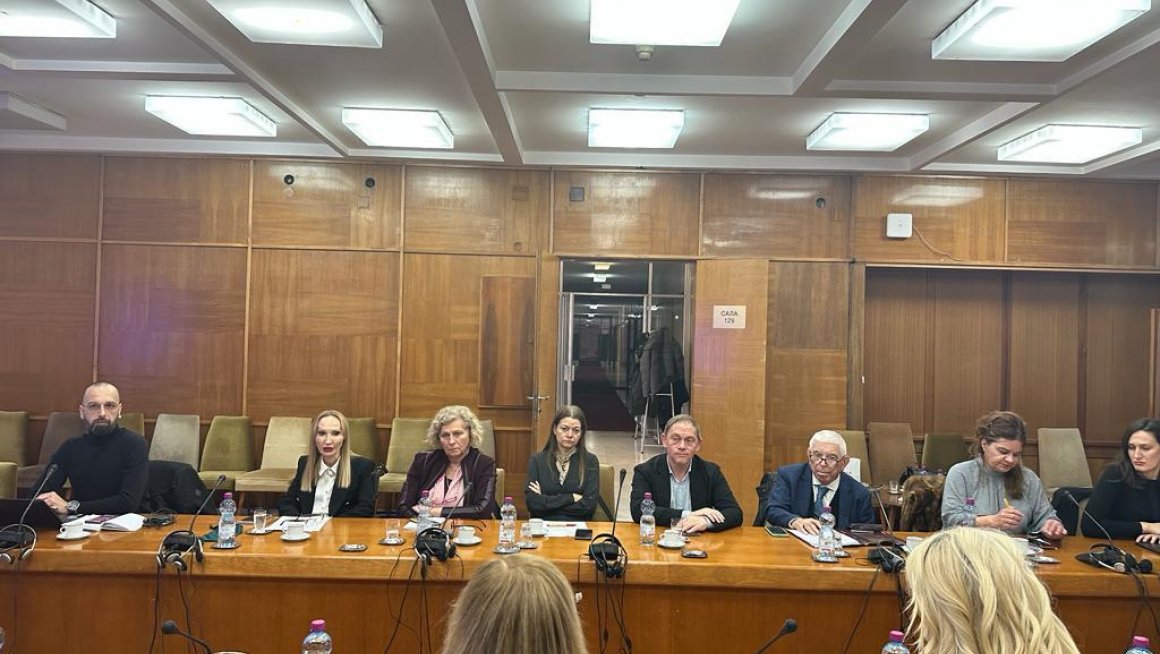 Барошевић председавала 8. седницом Савета за особе са инвалидитетом Владе Србије